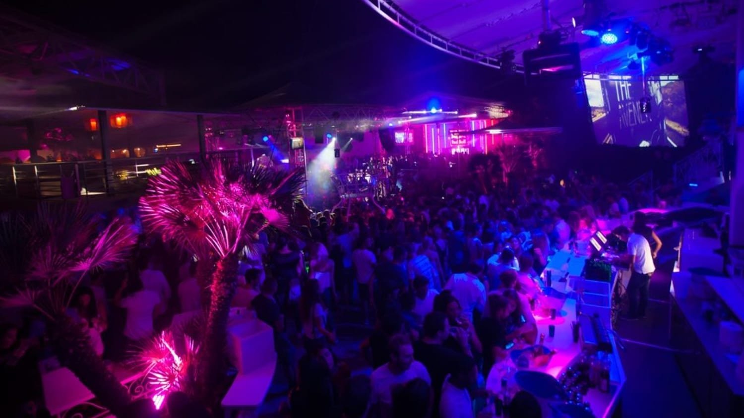 Via Notte La Plus Grande Discotheque D Europe A Ciel Ouvert Corse Location Villa