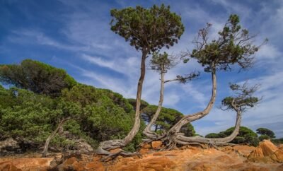 La Corse : la meilleure destination pour les voyageurs d’automne